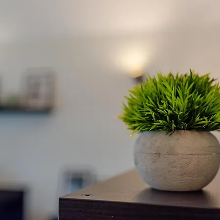 Dal Vassalli Eandi By Happyhostorino * تورينو